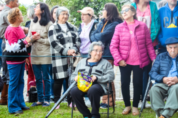 Foto - Desfile Cívico Farroupilha 2025
