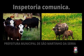 Inspetoria informa