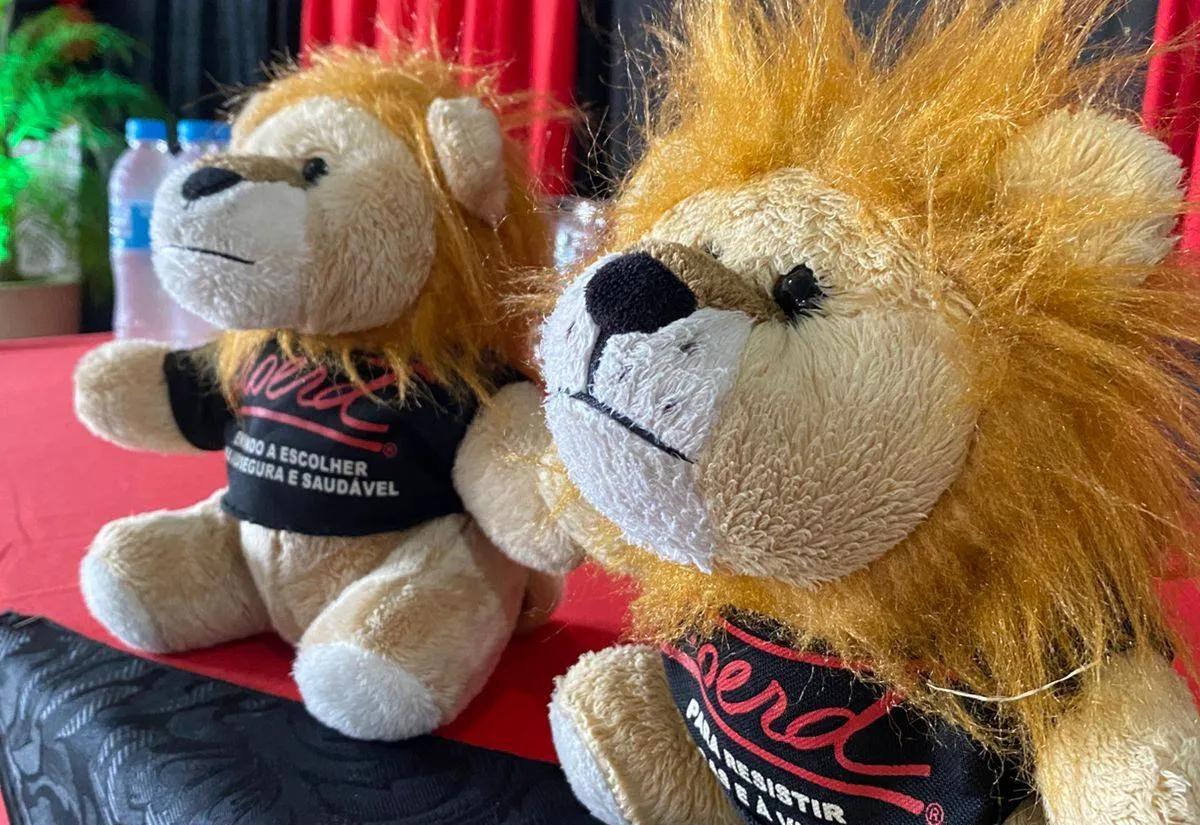 Dia de Formatura PROERD!